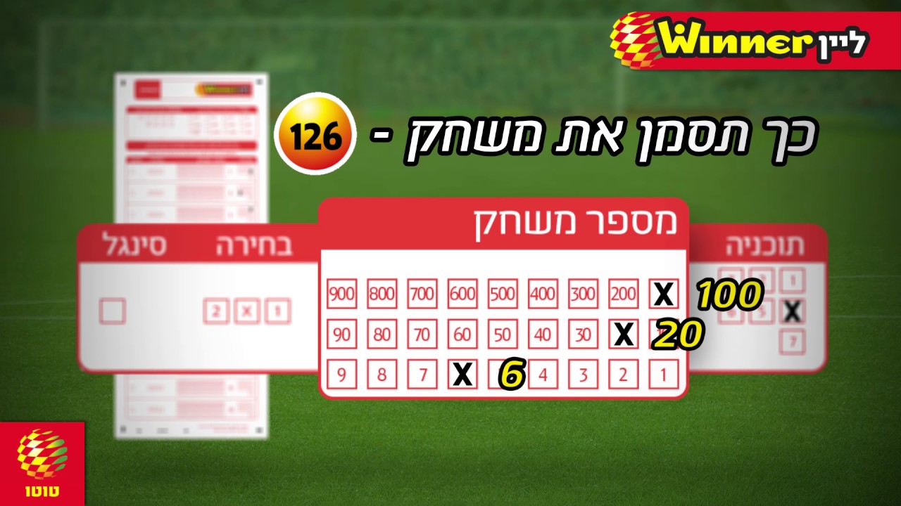 ווינר ליין תוצאות